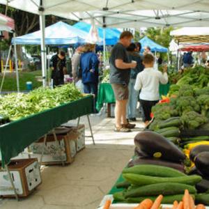 farmers market cardiff