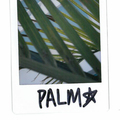 Company In IBIZA (Through The Lens Of My Instax)